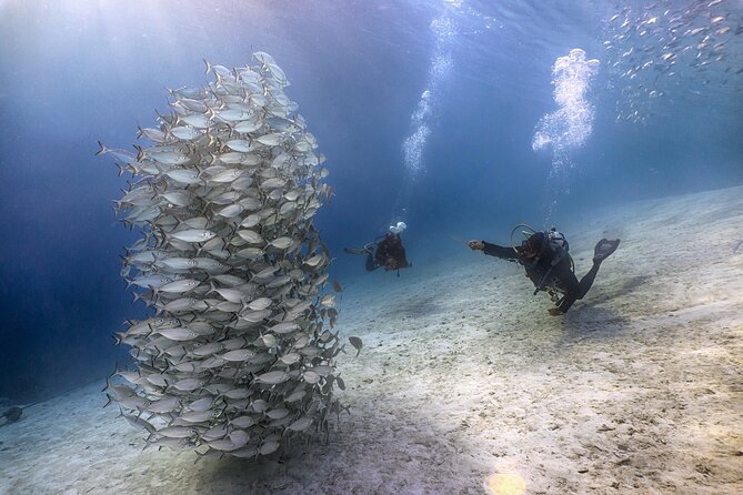 (2 Dives) Discover Scuba Diving Kota Kinabalu - Group size, comfort, and practical limits