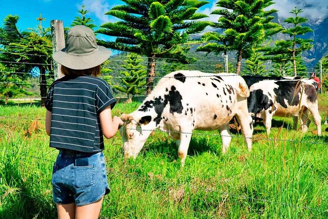 2d1n Kinabalu Park & Poring Canopy Walk & Desa Cow Farm Tour - Key points to know before booking