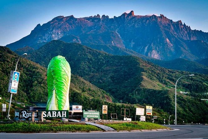2d1n Kinabalu Park & Poring Canopy Walk & Desa Cow Farm Tour - The canopy walk above Borneo’s old rainforest