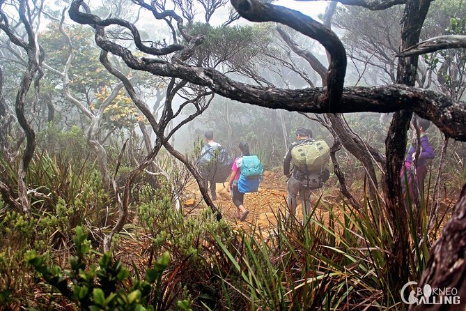 2d1n Mount Kinabalu Via Ferrata - Walk The Torq - The early road from Kota Kinabalu to Kinabalu Park