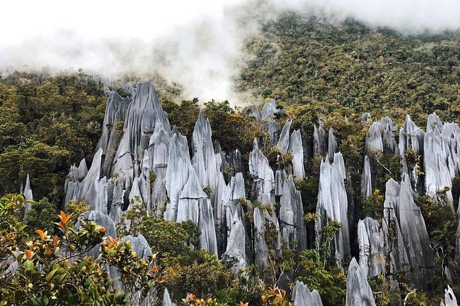 3 Days 2 Nights Unesco World Heritage Mulu 4 Showcaves - At a glance: four caves and two very different days
