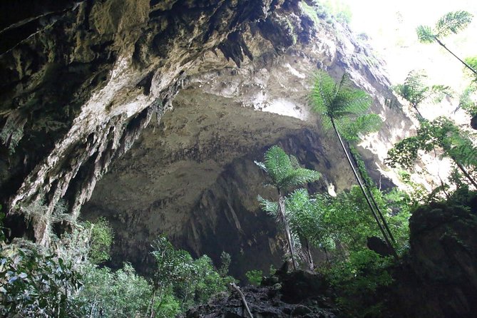3 Days 2 Nights Unesco World Heritage Mulu 4 Showcaves - Who will enjoy this Mulu program