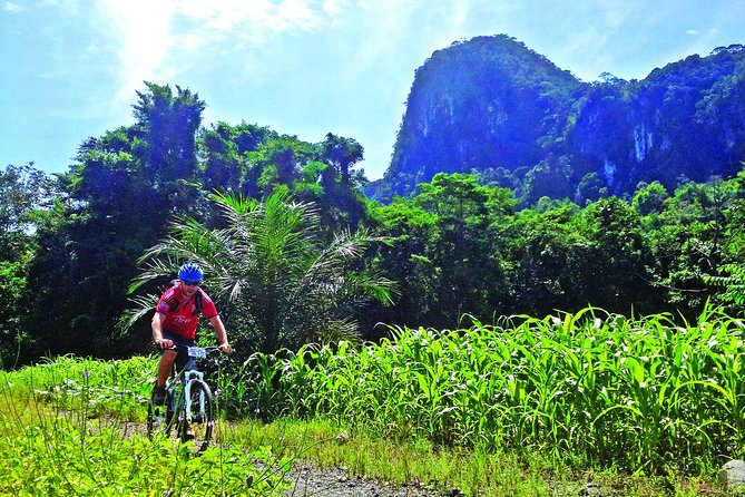 3-in-1 Ultimate Borneo Expedition Adventure - Key things to know before booking