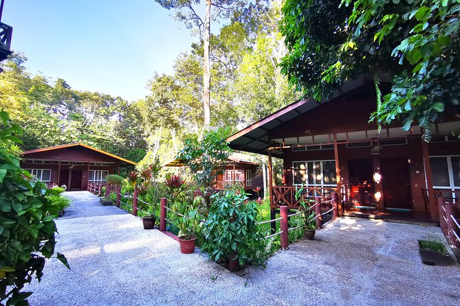 3D2N Sukau Wildlife Experience - Arriving from Sandakan to the Kinabatangan River