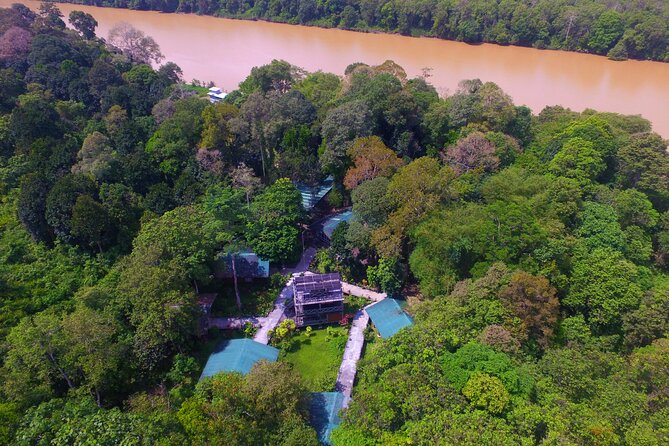 3D2N Sukau Wildlife Experience - Day one: a 4:00 PM search along the river