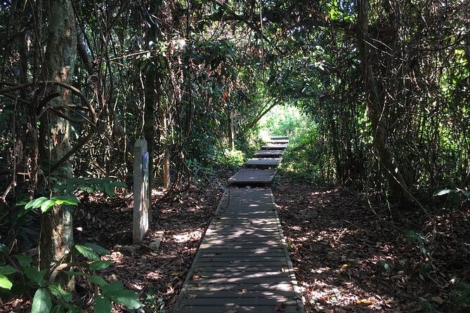 4-Day Jungle Experience in Taman Negara from Kuala Lumpur - Teresek Hill and the view from above