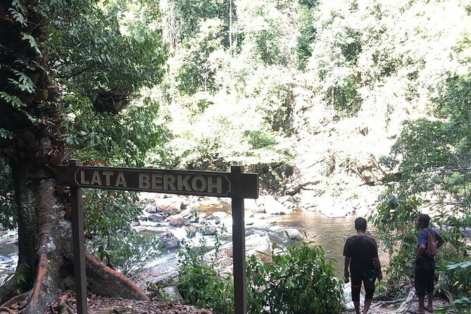 4-Day Jungle Experience in Taman Negara from Kuala Lumpur - Three nights at Mutiara Taman Negara Resort