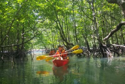 5 Hours Kilim Mangrove Kayaking Sharing Tour (With Hotel Pickup)
