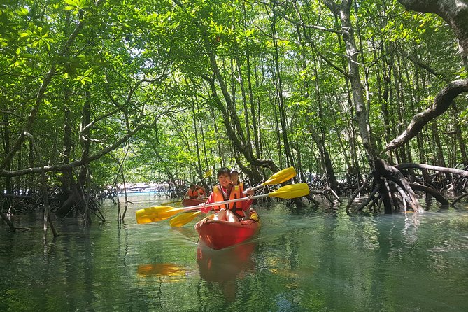 5 Hours Kilim Mangrove Kayaking Sharing Tour (With Hotel Pickup) - Getting set up at the floating fish farm