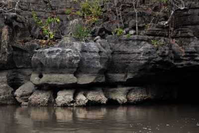 5 Hours Mangrove Boat Tour in Langkawi