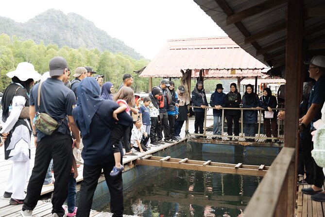 5 Hours Mangrove Boat Tour in Langkawi - Fish farm lunch and the floating restaurant
