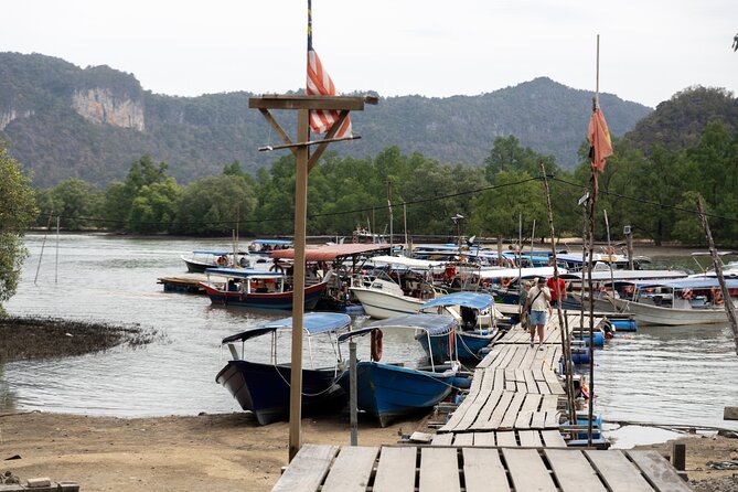 5 Hours Mangrove Boat Tour in Langkawi - Gorilla Mountain and Kilim karst views