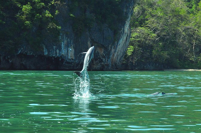 5 Hours Sharing Basis Kilim Mangrove Safari Boat Tour in Langkawi - Guides who make the difference