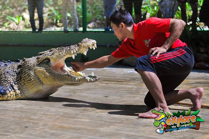 Adventure Combo - What the Crocodile Adventureland visit is really like