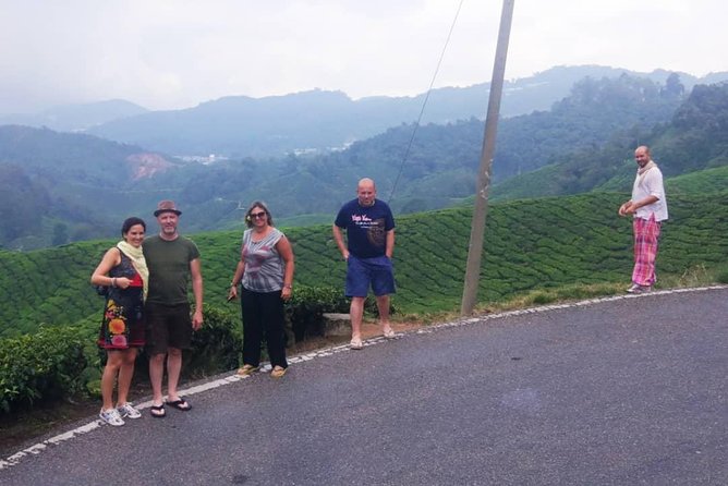 Amazing Cameron Highland Day Tour From Kuala Lumpur - Strawberry picking adds a hands-on stop