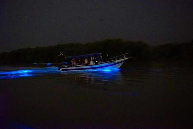 Amazing Fireflies With Blue Tears Watching & Kuala Selangor Tour - Dinner by the river is not part of the $55.92 price