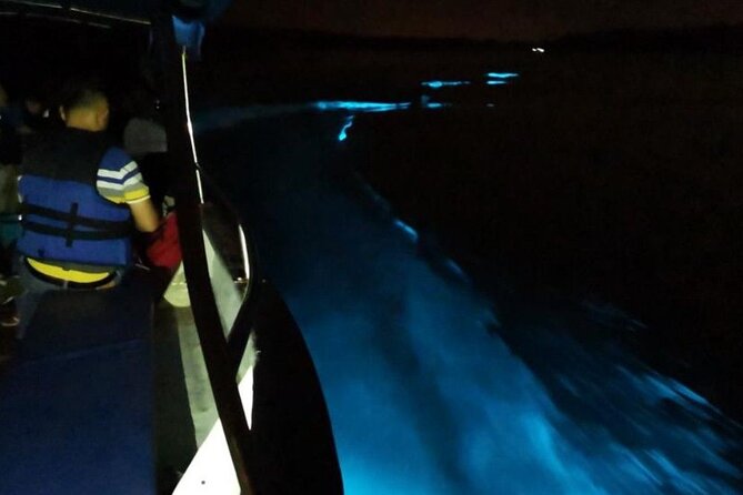 Amazing Fireflies With Blue Tears Watching & Kuala Selangor Tour - Guides can shape the whole evening
