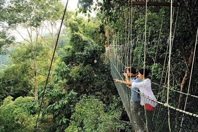 Amazing Taman Negara Day Trip from Kuala Lumpur Including Lunch - Meeting the Orang Asli community