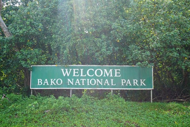 Bako National Park - What the five-hour format really gives you