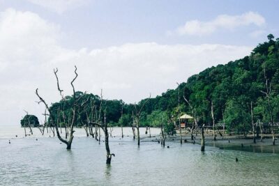 Bako National Park from Kuching City