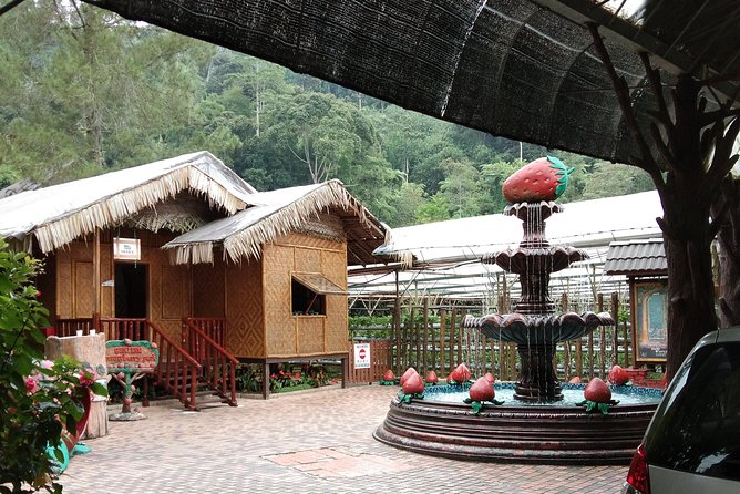 Batu Caves and Genting Highland Tour - Why the private car changes the day