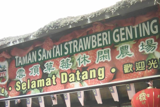 Batu Caves and Genting Highland Tour - Flexible pickup, but allow most of the day