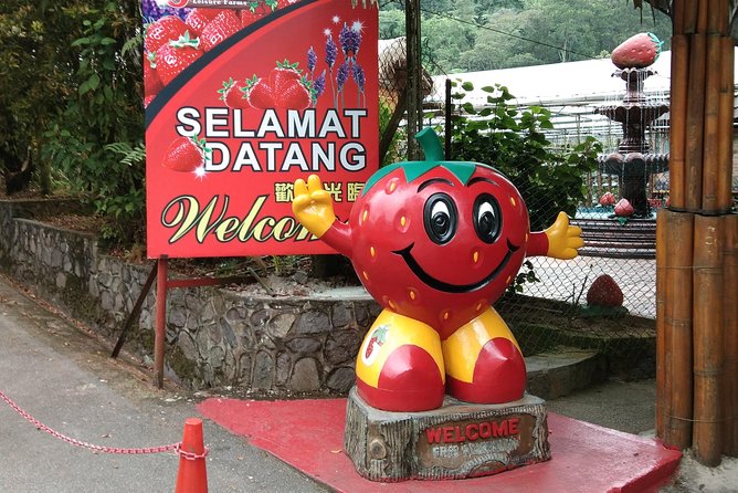 Batu Caves and Genting Highland Tour - Who will enjoy this route most