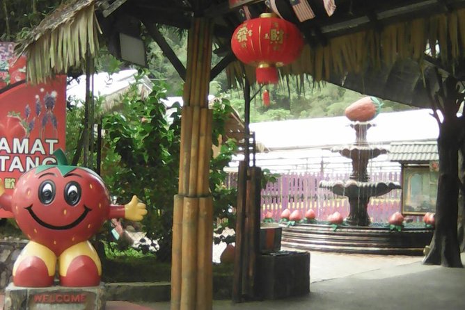 Batu Caves and Genting Highland Tour - A short pause at Genting Strawberry Leisure Farm