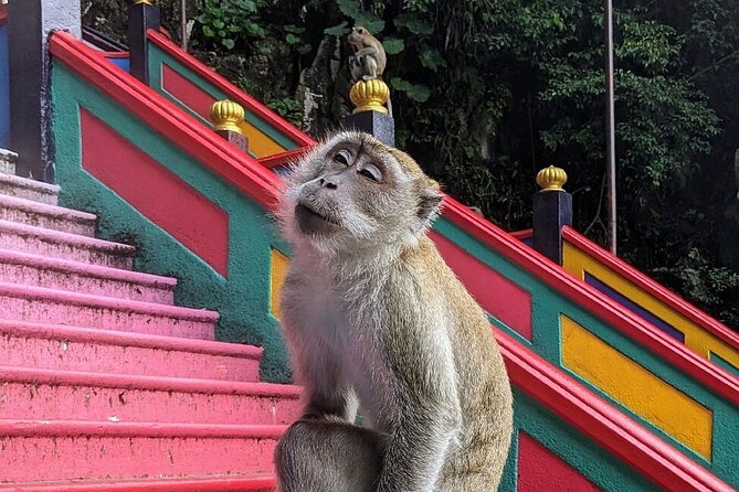 Batu Caves,Waterfalls and Hot Springs Tour With Lunch - Batik Chong shows Malaysian craft in 15 minutes