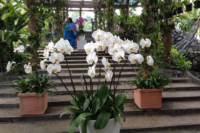 Bird Park & Butterfly Farm Nature Include All Entrance Tour From Kuala Lumpur - What the private transport changes