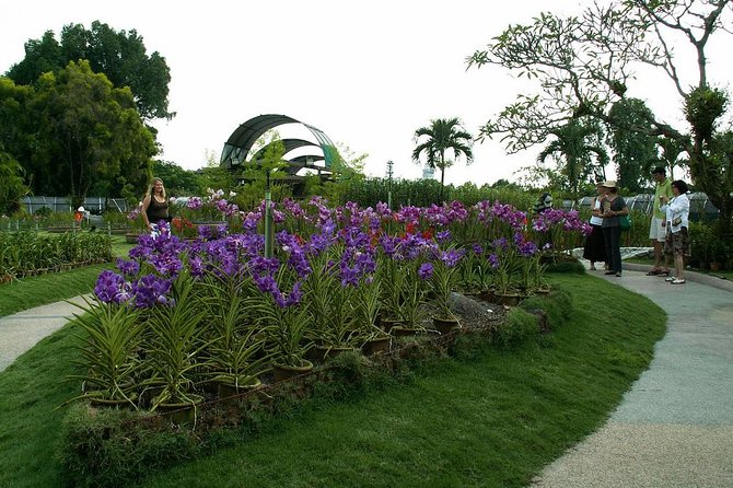 Bird Park & Butterfly Farm Nature Include All Entrance Tour From Kuala Lumpur - Taman Orkid: a one-hectare orchid stop