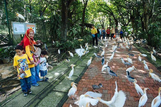 Bird Park & Butterfly Farm Nature Tour From Kuala Lumpur - Orchids and plant culture at Taman Orkid