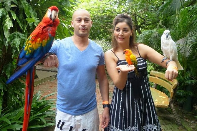 Bird Park & Butterfly Farm Nature Tour From Kuala Lumpur - Who will enjoy this half-day outing?