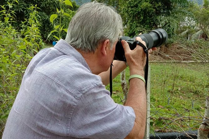 Birdwatching: Desaru's Winged Gems - What makes this Desaru bird tour worth considering