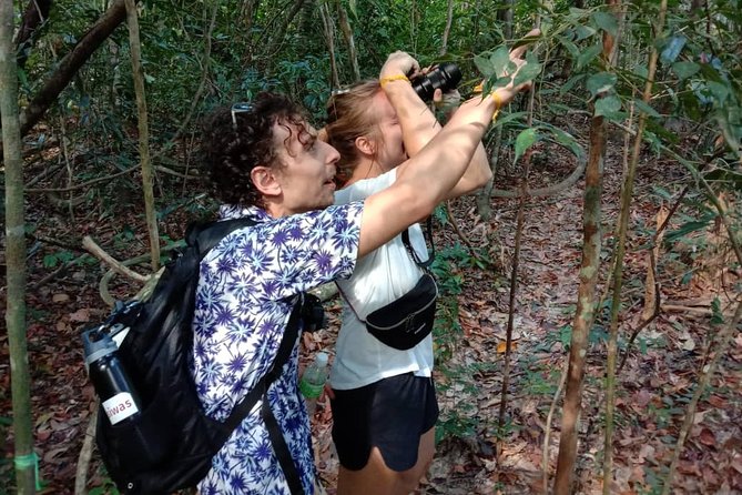 Birdwatching: Desaru's Winged Gems - What the 4:30 pm start means