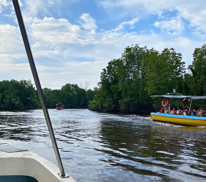 Bongawan River Cruise: Proboscis Monkey & Fireflies Mangrove - Sky Mirror sunset and dinner by the water