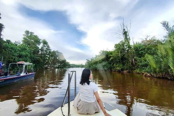 Bongawan River Cruise Proboscis Monkey, SkyMirror, Fireflies - Cocoa Kingdom and Sabah chocolate