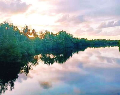 Bongawan Wetland: Proboscis Monkey and Fireflies Shared Tour