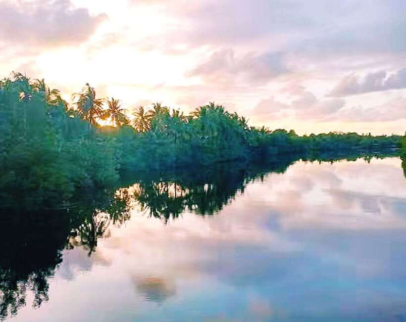 Bongawan Wetland: Proboscis Monkey and Fireflies Shared Tour - The 110-minute ride from Kota Kinabalu