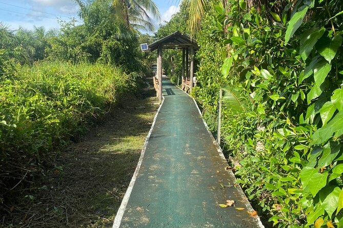 Borneo (Klias) River Cruise & Fireflies Tour - Practical tips for a better day
