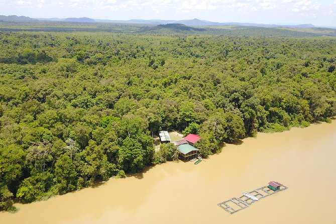 Borneo Wildlife Tour 2 Days 1 Night At Tanjung Bulat Jungle Camp Kinabatangan - What this Kinabatangan overnight trip is really like