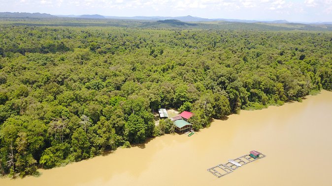 Borneo Wildlife Tour 3 Days 2 Nights At Tanjung Bulat Jungle Camp Kinabatangan - Wildlife sightings, from proboscis monkeys to flying lemurs
