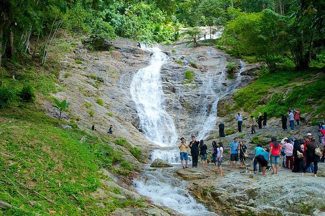 Cameron Highland Day Tour from Kuala Lumpur - Strawberries, butterflies, honey, and cactus gardens