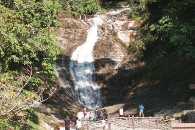 Cameron Highland Day Trip