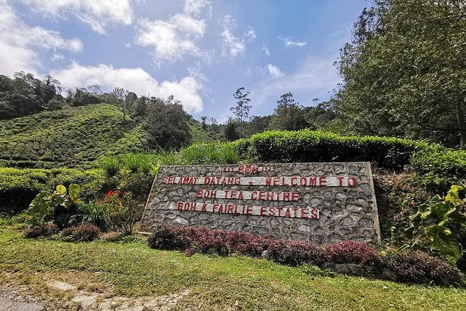 Cameron Highland Day-Trip from Kuala Lumpur - BOH Tea Plantation supplies the big Cameron Highlands view