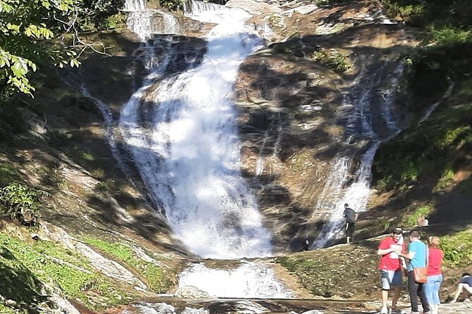 Cameron Highland Full Day Tour from KL City (Private) - Lunch and the value of a private car