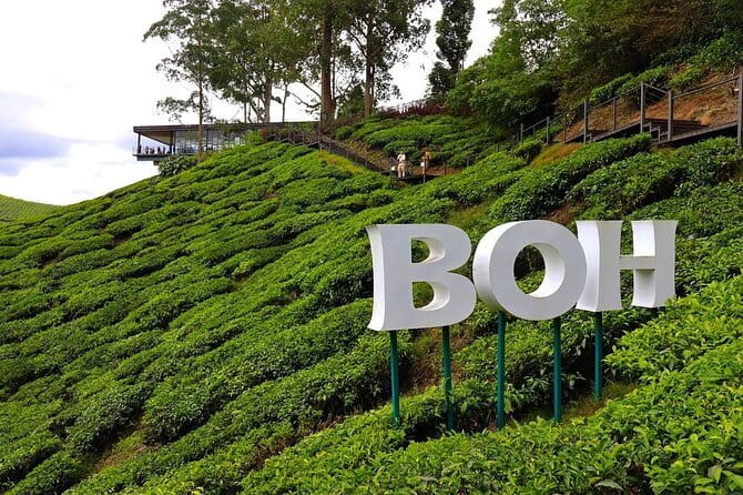 Cameron Highland Full Day Tour from KL City Private Tour - Key points to know before booking