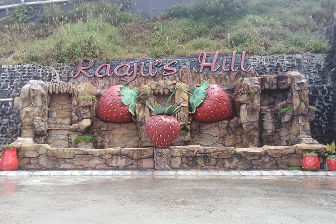 Cameron Highland Private Day Tour - A long road to cooler Cameron Highlands