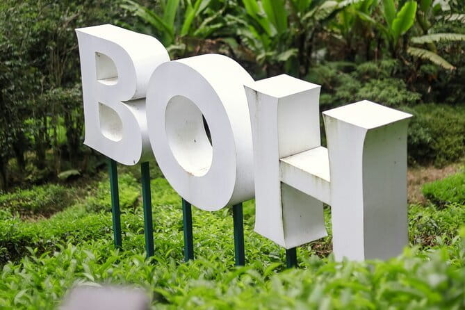 Cameron Highland Private Day Tour From Ipoh - Timing, traffic, and the real length of the day