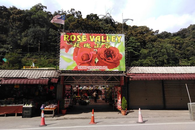 Cameron Highland Private Day Tour - MARDI, British buildings, and farm country